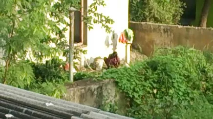 Châu phi phim sez gai moi lon có tình dục ngoài